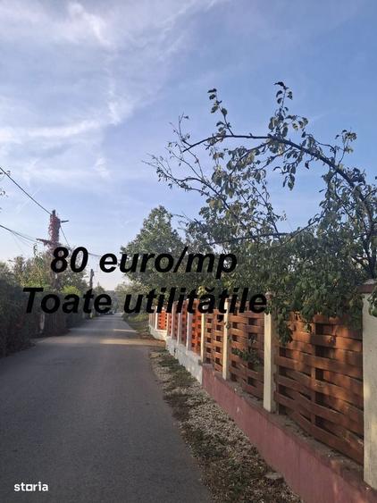 Spațiu comercial, în Balotești