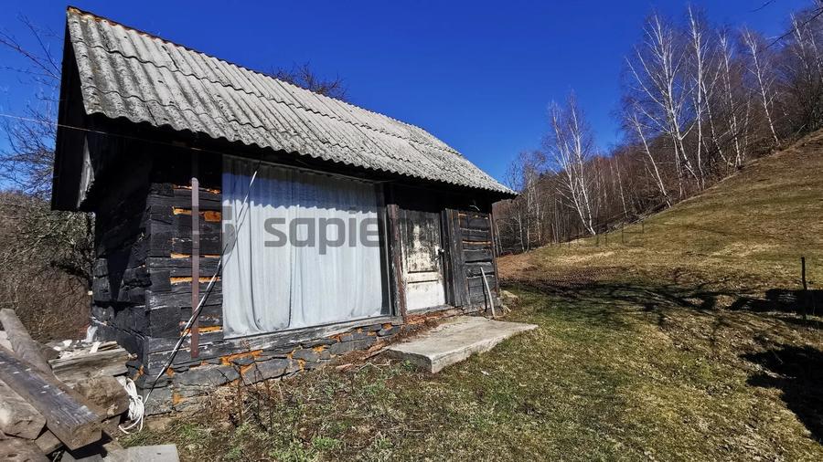 Teren Construcții intravilan de 10100 mp, în Munteni