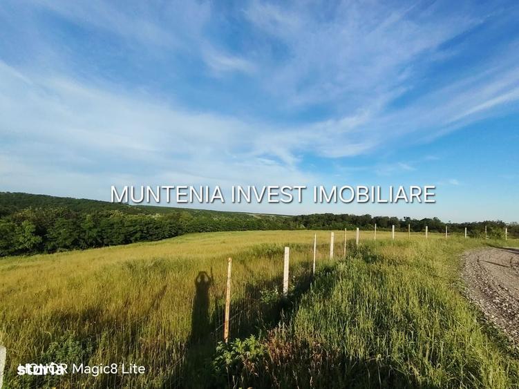 Spațiu comercial, în Moșoaia