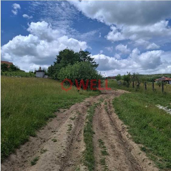 De vanzare teren intravilan Sovata - 7