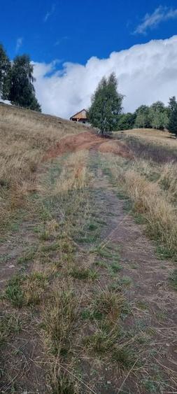 Teren agricol extravilan de 5609 mp, în Gura Râului