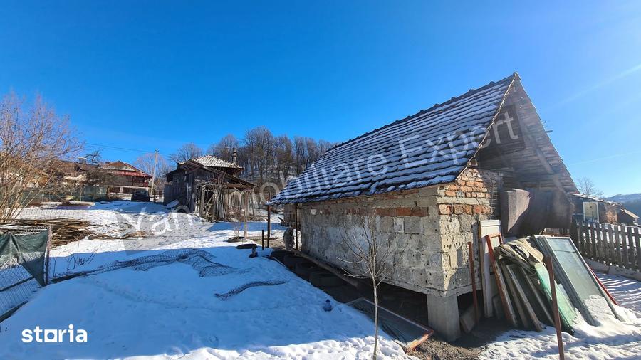 Casă cu 3 camere cu Teren 3877 Mp în Valea Danului
