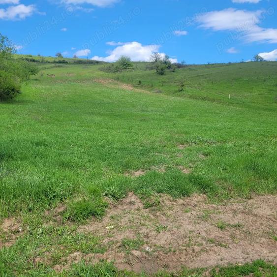Teren de 2200 mp, în Sânpaul