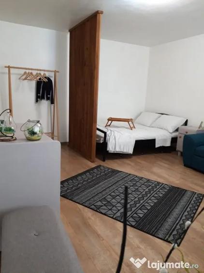 Apartament de inchiriat 1 camera Marasti - Cluj-Napoca (Cluj) - 12