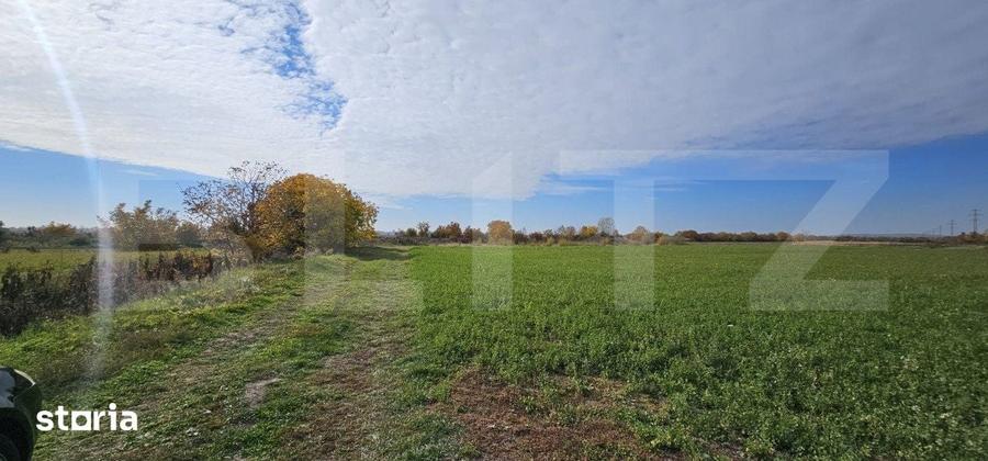 Teren de 1400 mp, în Răzvad