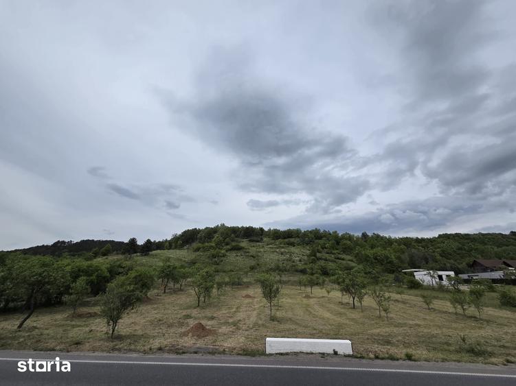 Teren de 15672 mp, în Aleșd