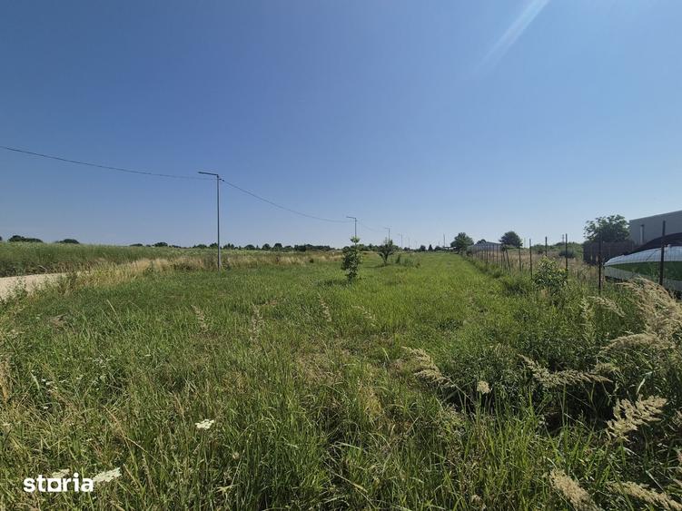 Teren de 2500 mp, în Ciolpani
