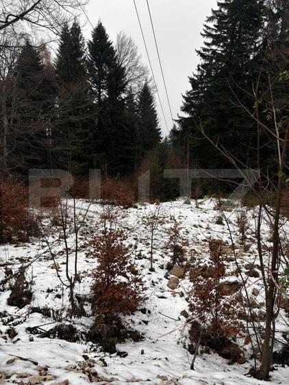 Teren Construcții intravilan de 4000 mp, în Calea Moroieni