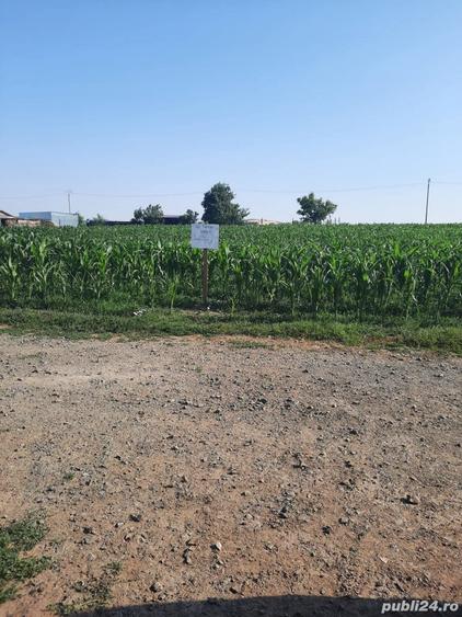 Teren de 3000 mp, în Frecăței
