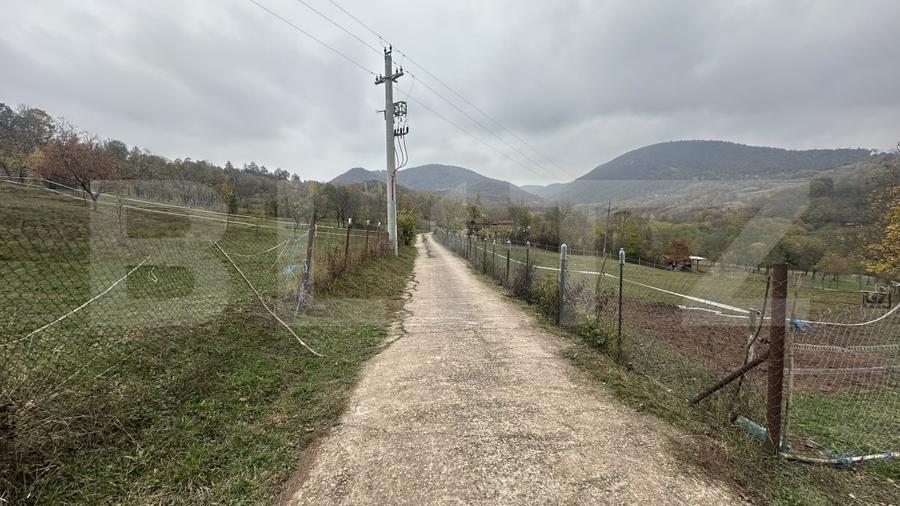 Teren agricol intravilan de 4950 mp, în Toplița Mureșului