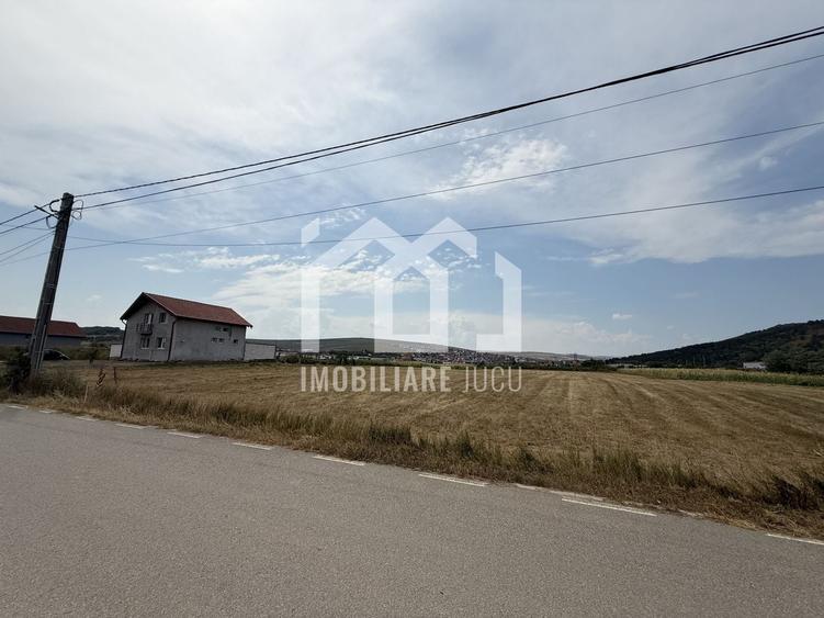 Teren Construcții intravilan de 2900 mp, în Jucu de Mijloc