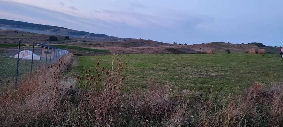 Teren agricol de 3000 mp, în Săliștea Nouă