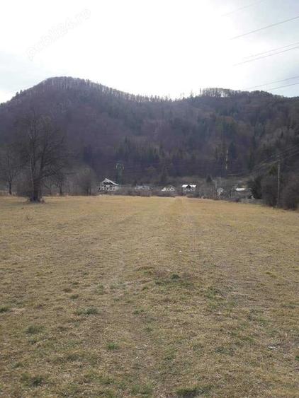 Teren de 4488 mp, în Pângărați