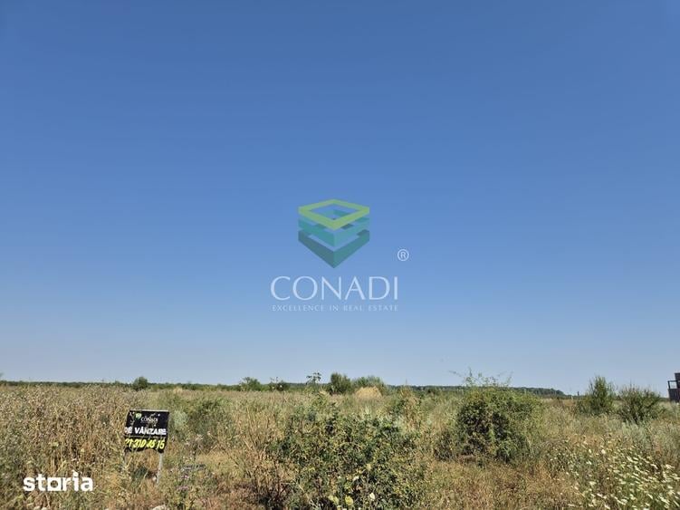 Teren de vanzare cu autorizatie pentru 2 hale - Otopeni - 10.000 mp - 18