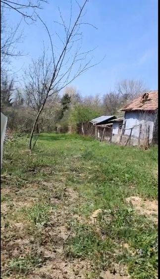 Teren de 3000 mp, în Cernelele