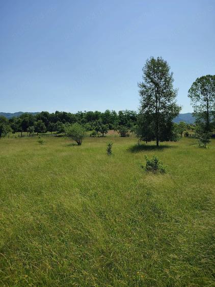Teren de 1357 mp, în Pietroșani