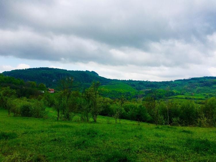 Teren de 6675 mp, în Ormindea