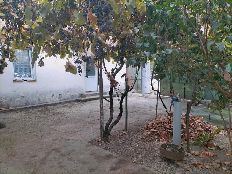 Casă cu Teren 691 Mp în Leu