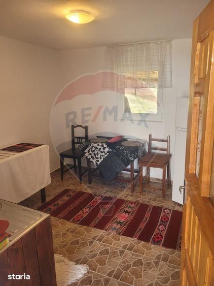Casă cu 4 camere cu Teren 16499 Mp în Baia de Fier