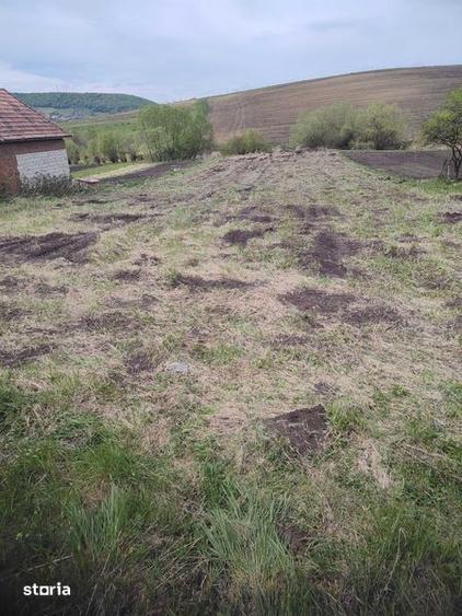 Gradina intravilan Petrestii de jos - 1