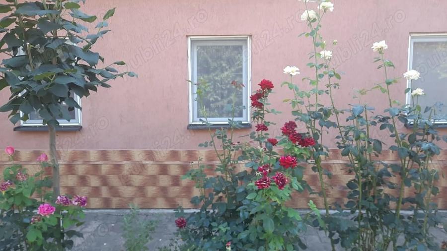 Casă cu 4 camere cu Teren 1060 Mp în Lovrin