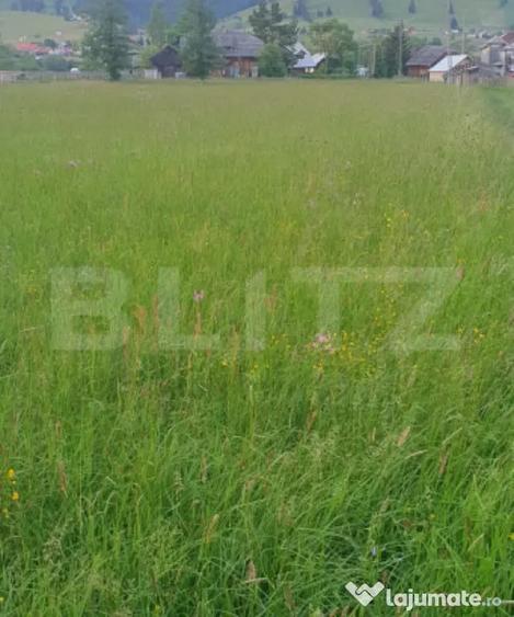 Casă cu 3 camere cu Teren 5747 Mp în Central