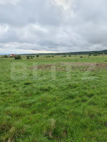 Teren Construcții intravilan de 7400 mp, în Berivoi