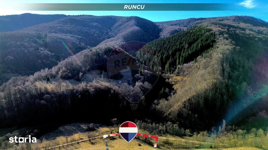 Teren de 16466 mp, în Desești