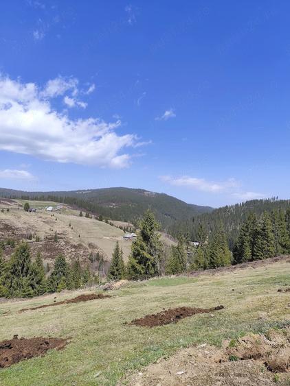 Casă cu 3 camere cu Teren 30 Mp în Poiana Horea