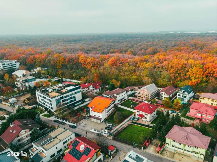 Vila+teren aferent de vanzare Voluntari Pipera liziera padurii 1775 mp - 19