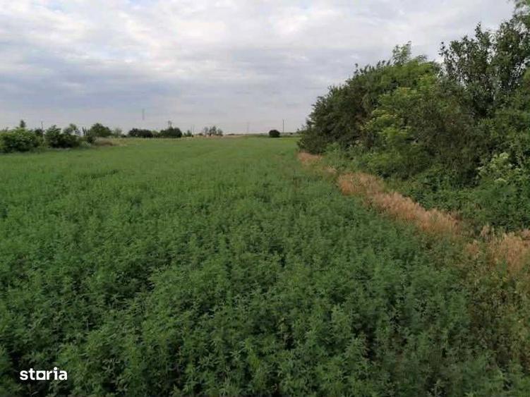 Teren de 7444 mp, în Tătăranu