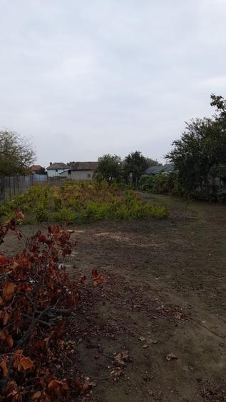 Casa cu teren de vanzare Basarabi(Calafat) - 6