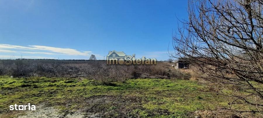 Teren de 7495 mp, în Limanu