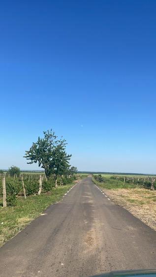 Teren de 30000 mp, în Dumbrăveni