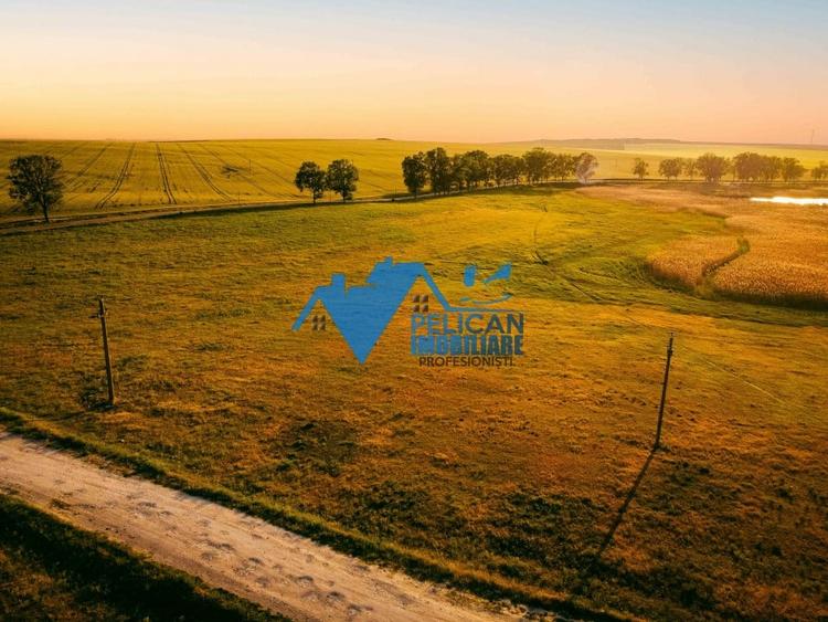 Teren Construcții extravilan de 27500 mp, în Murighiol