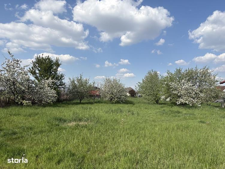 Teren intravilan , zona Apateului ,4600 mp - 3