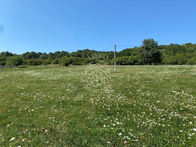 Teren agricol extravilan de 11000 mp, în Unirea