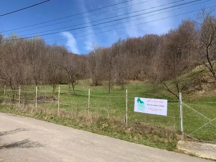 Teren intravilan de 5500 mp, în Provița de Sus