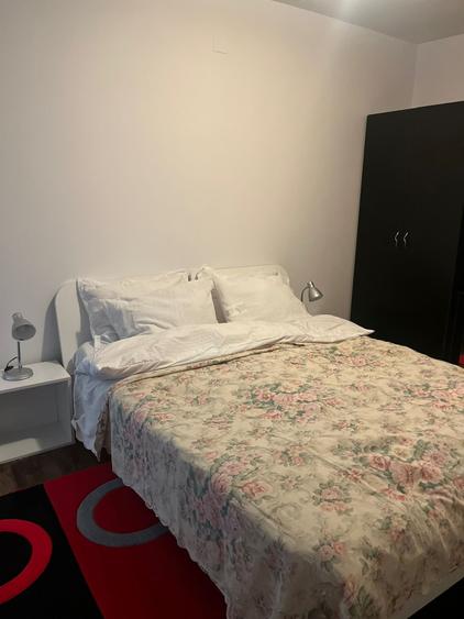 apartament cu 2 camere,etaj intermediar, zona Muzeul Apei - 10