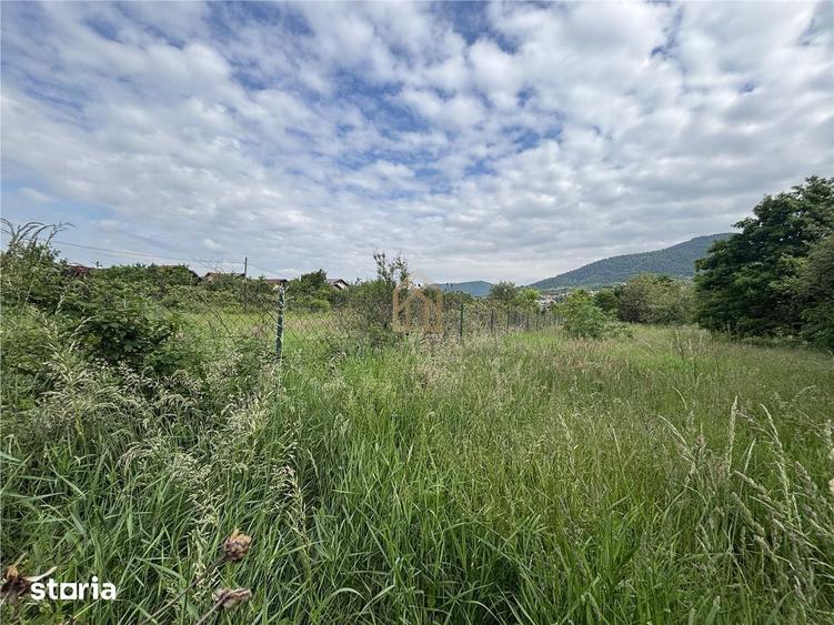 Teren de 3700 mp, în Valea Borcutului