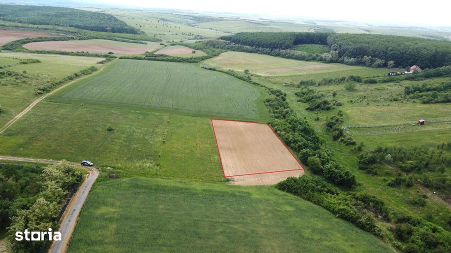 Teren de 2935 mp, în Viile Satu Mare
