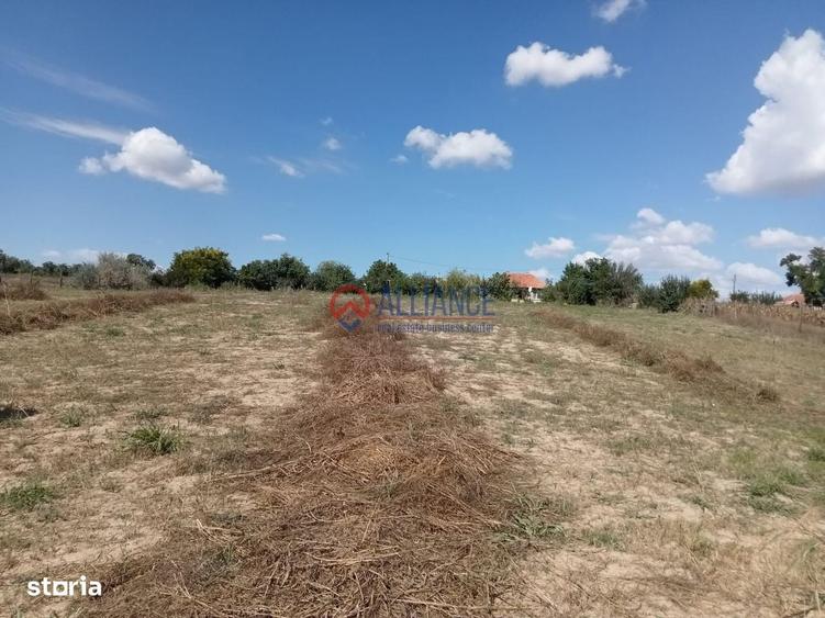 Spațiu comercial, în Grădina