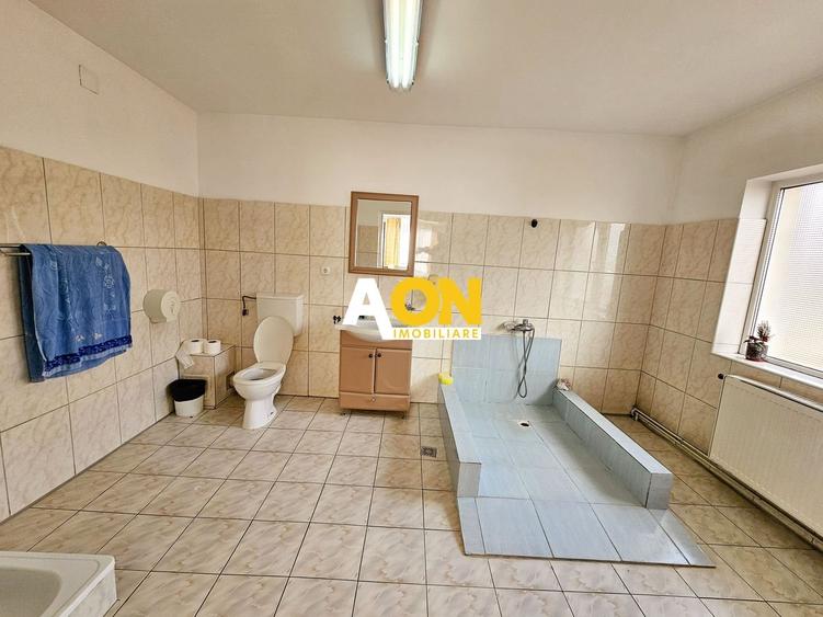 Casă individuală cu 10 camere cu Canalizare în Bărăbanț