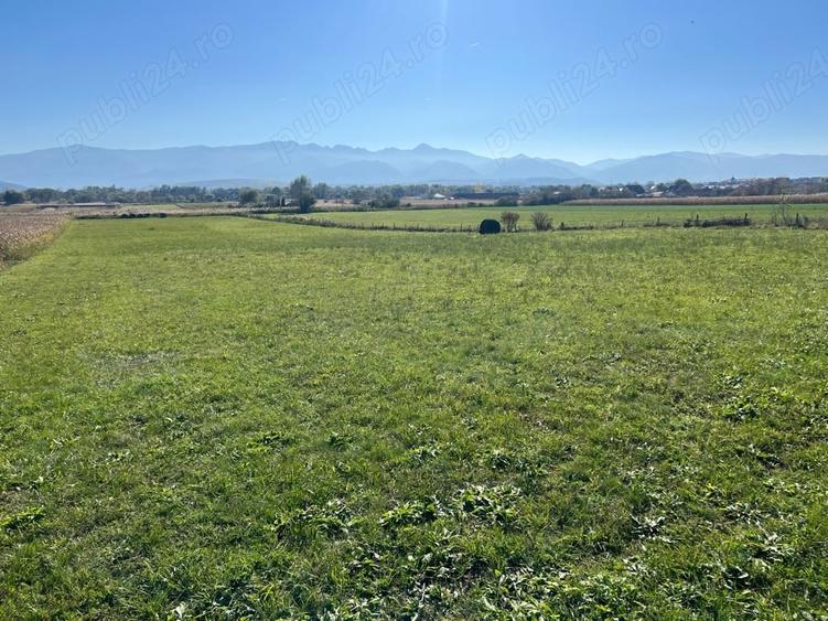 Teren de 7500 mp, în Central