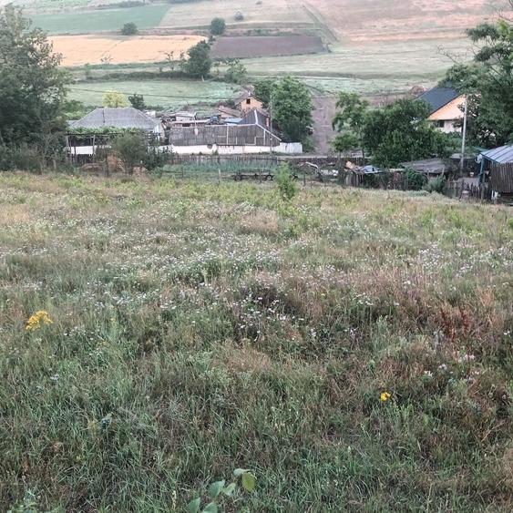Vand doua case in satul Baltateni - 6