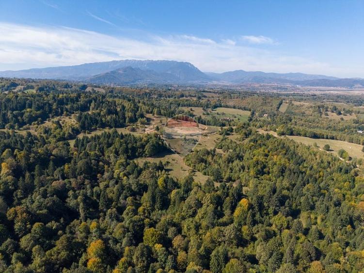Teren Construcții de 9300 mp, în Glăjărie