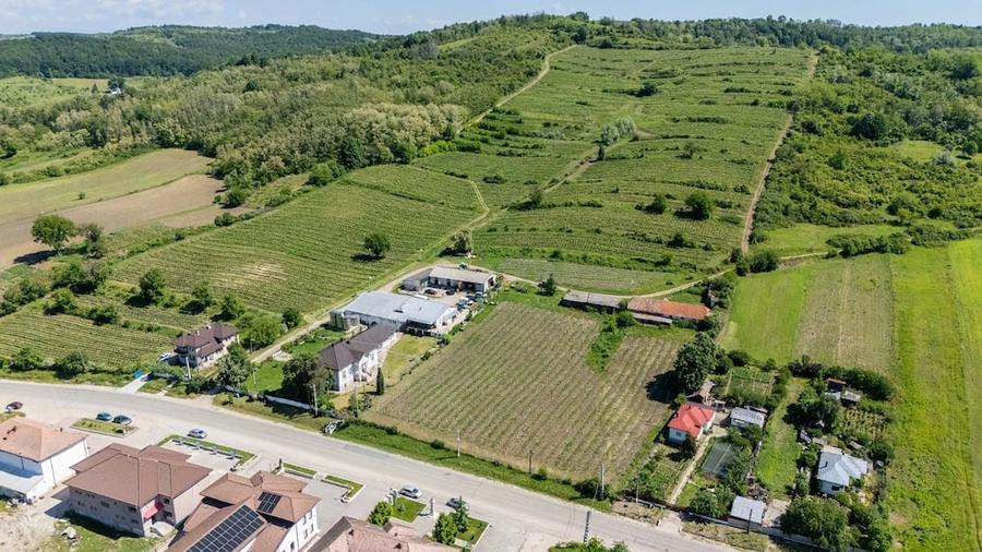 Teren de 600000 mp, în Gușoeni