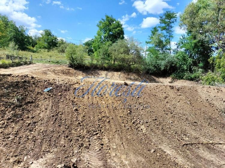 Teren Construcții intravilan de 1300 mp, în Cacova Ierii