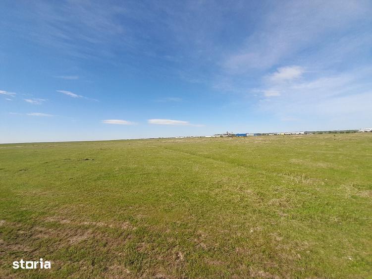 Teren de 30700 mp, în Albota