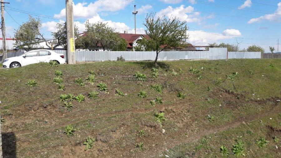 Casă individuală cu 5 camere cu Teren 1116 Mp în Nord